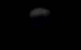SkullRoar.gif (15858 bytes)